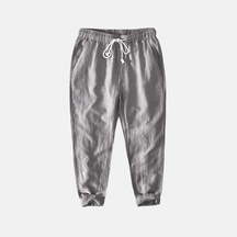 Calça Linho Masculina Fiorinni F090 cinza